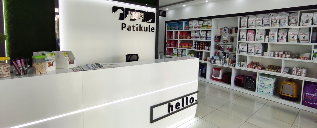 Yavru Kedi Oyun Oynarken Nasıl Güvende Tutulur? Yavru Kedi Oyun Oynarken Nasıl Güvende Tutulur?