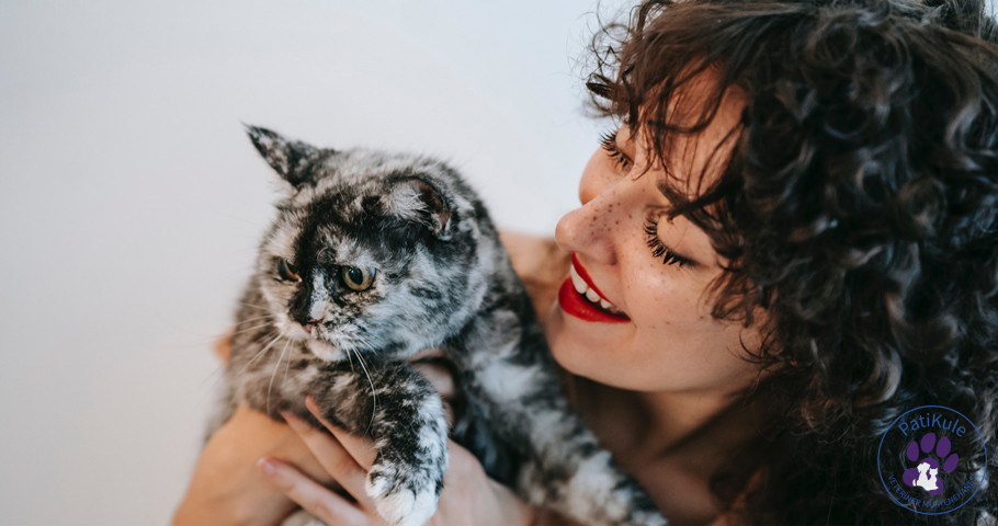 Kediler Adet Olur mu? Kediler Adet Olur mu?