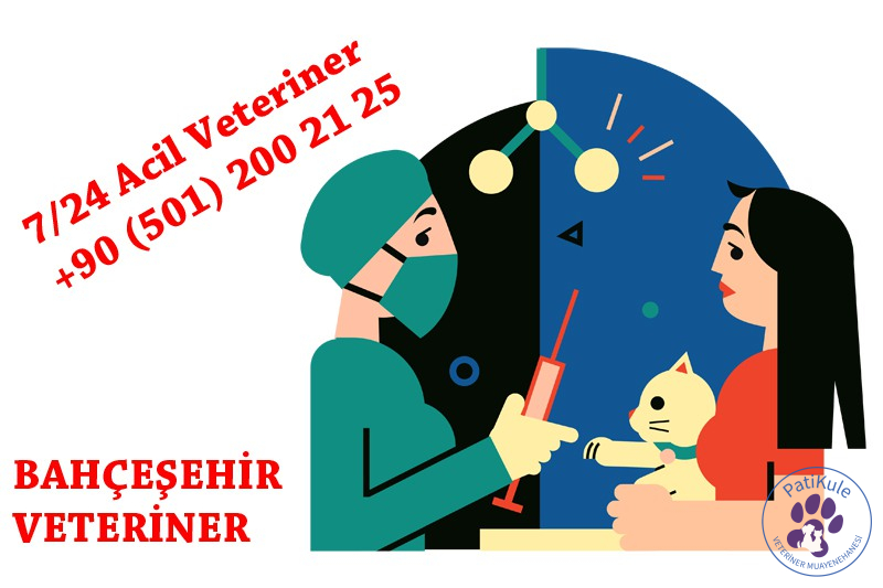 Bahçeşehir Veteriner Bahçeşehir Acil Veteriner