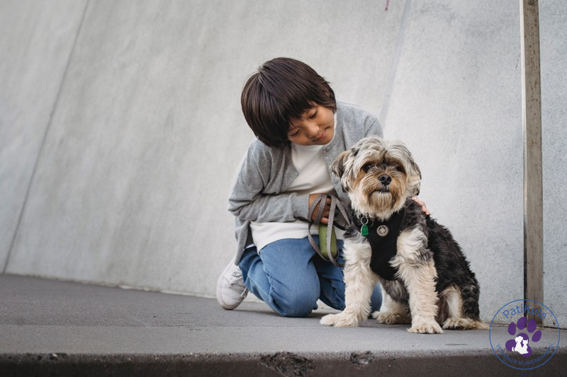 Evcil Hayvanlar ve Çocuklar
