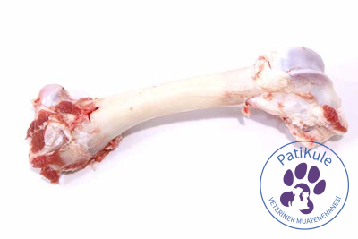 Kedilere Verilmemesi Gerekenler - Kemik