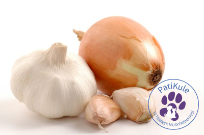 Kedilere Verilmemesi Gerekenler - Sarımsak ve Soğan