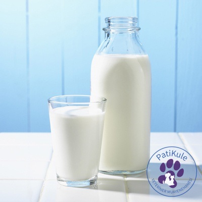 Kedilere Verilmemesi Gerekenler - Süt Ürünleri