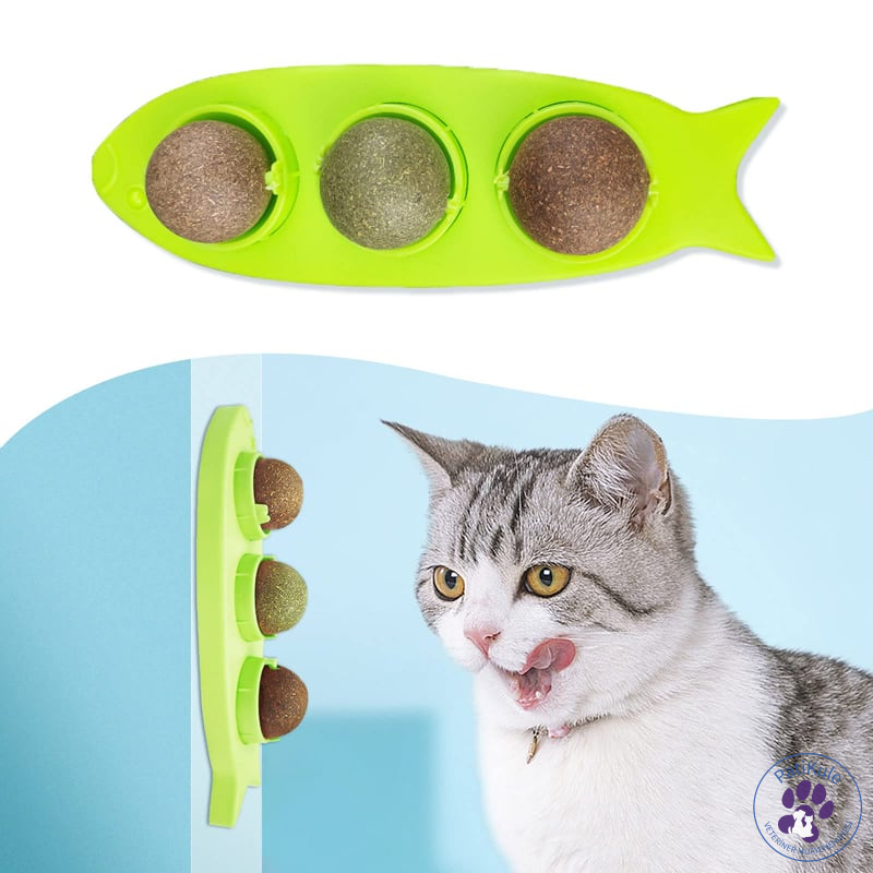 Kedi Ağız Sağlığı Ürünleri