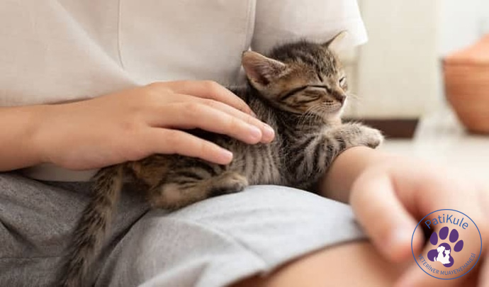 Kedim Neden Göğsümde Yatıyor?